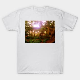 passage ritual... T-Shirt